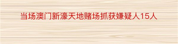 当场澳门新濠天地赌场抓获嫌疑人15人