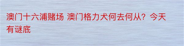 澳门十六浦赌场 澳门格力犬何去何从？今天有谜底