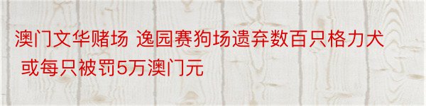 澳门文华赌场 逸园赛狗场遗弃数百只格力犬 或每只被罚5万澳门元