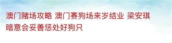 澳门赌场攻略 澳门赛狗场来岁结业 梁安琪暗意会妥善惩处好狗只