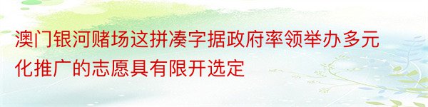 澳门银河赌场这拼凑字据政府率领举办多元化推广的志愿具有限开选定