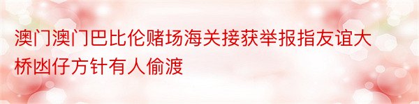 澳门澳门巴比伦赌场海关接获举报指友谊大桥凼仔方针有人偷渡