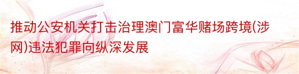 推动公安机关打击治理澳门富华赌场跨境(涉网)违法犯罪向纵深发展